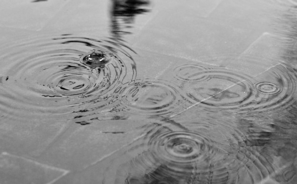 今、明天氣依舊晴朗，週三起鋒面接近，後續東北季風南下。（示意圖／翻攝自pexels）