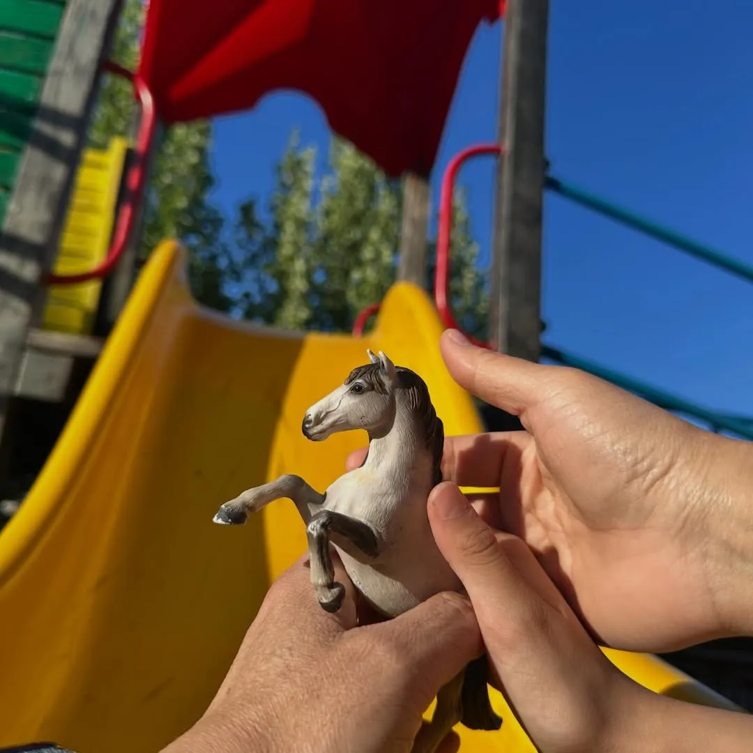 湯唯曬小馬照，證實懷孕喜訊。（圖／翻攝自湯唯IG）