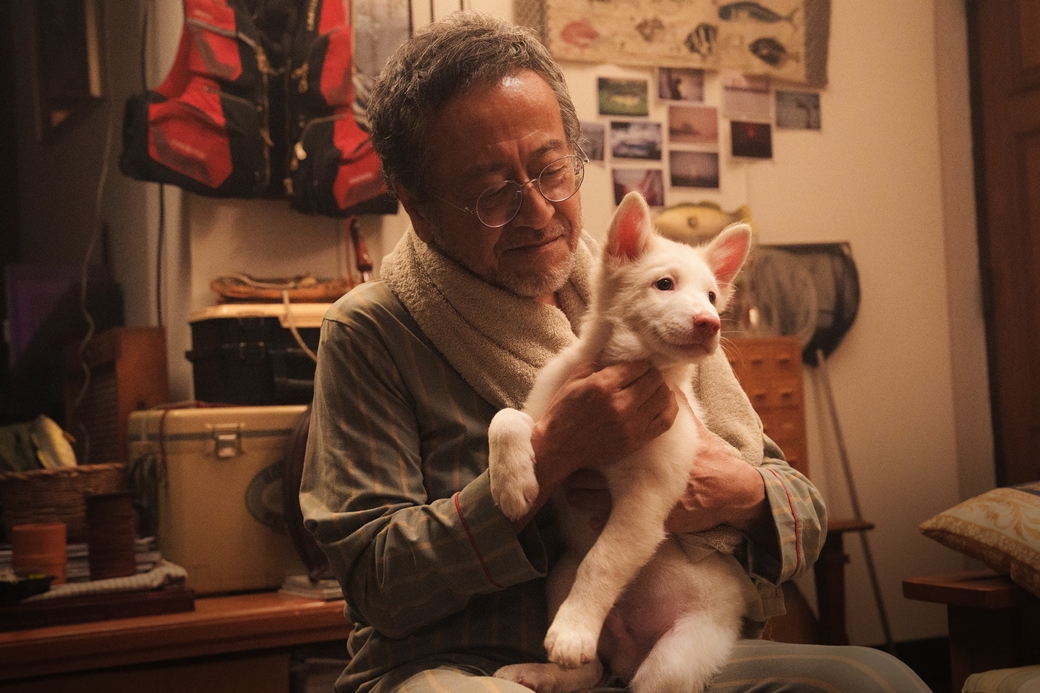 《伴我一生，感謝你》描述主角狗狗「悟飯」長達十年的生命旅程。（圖／龍祥提供）