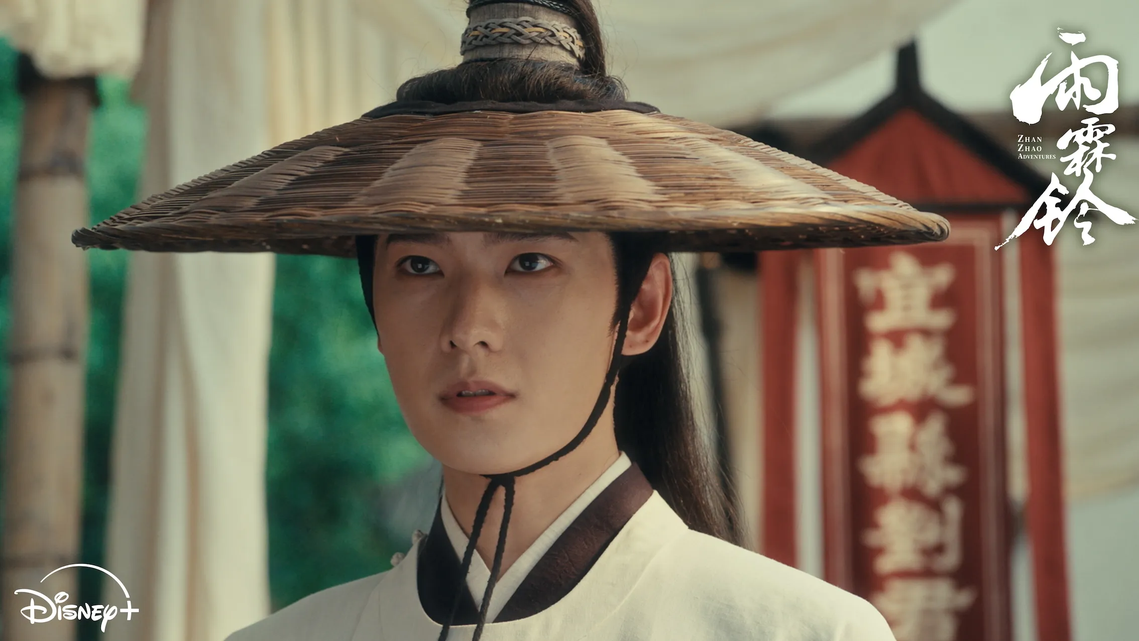 楊洋在新戲《雨霖鈴》中飾演南俠展昭。（圖／Disney+提供）