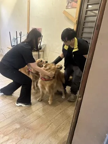 網紅餐廳飼主遭罰。（圖／苗栗縣政府）