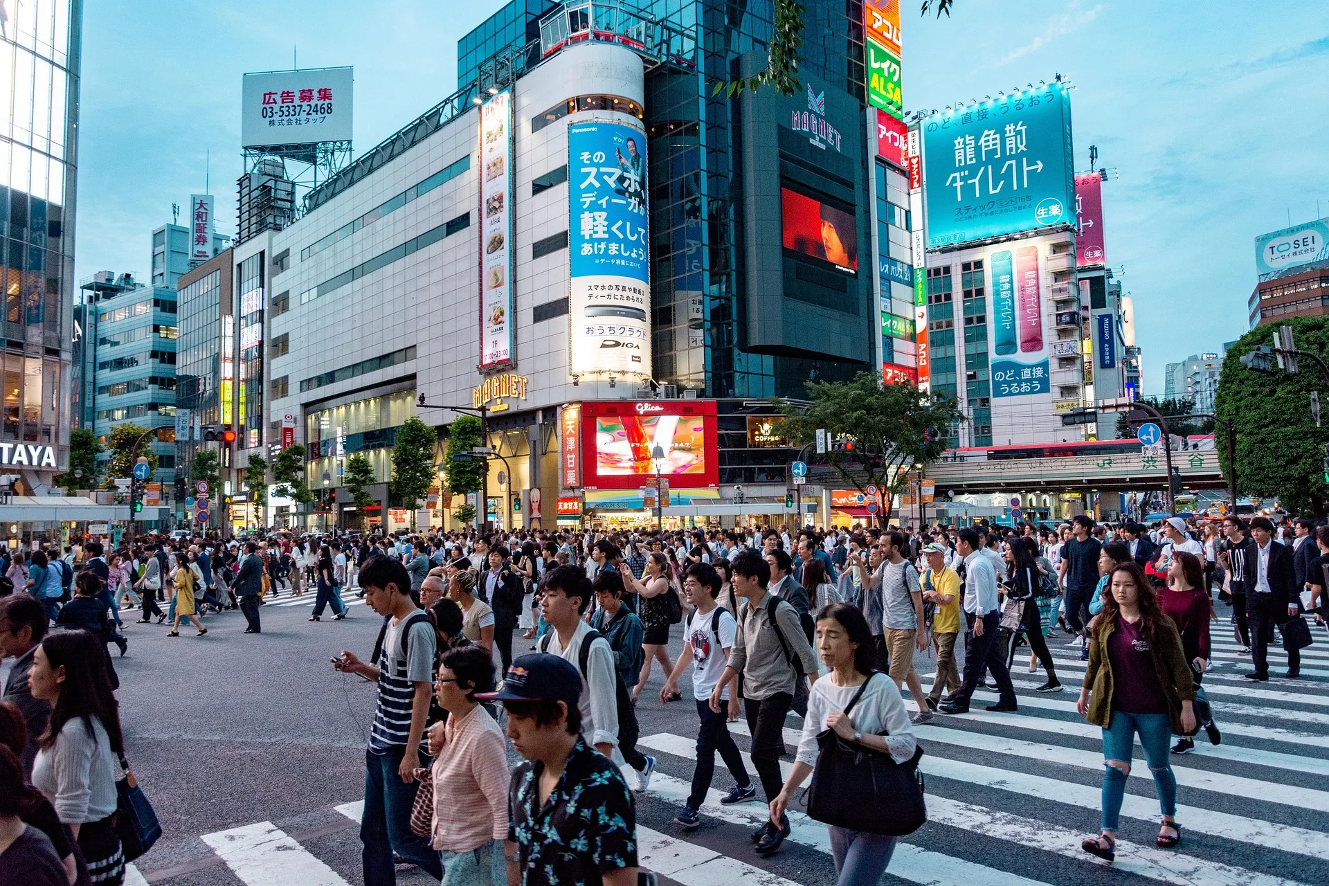 日本爆發神秘感冒,許多民眾出現不適。(示意圖/翻攝自pixabay)