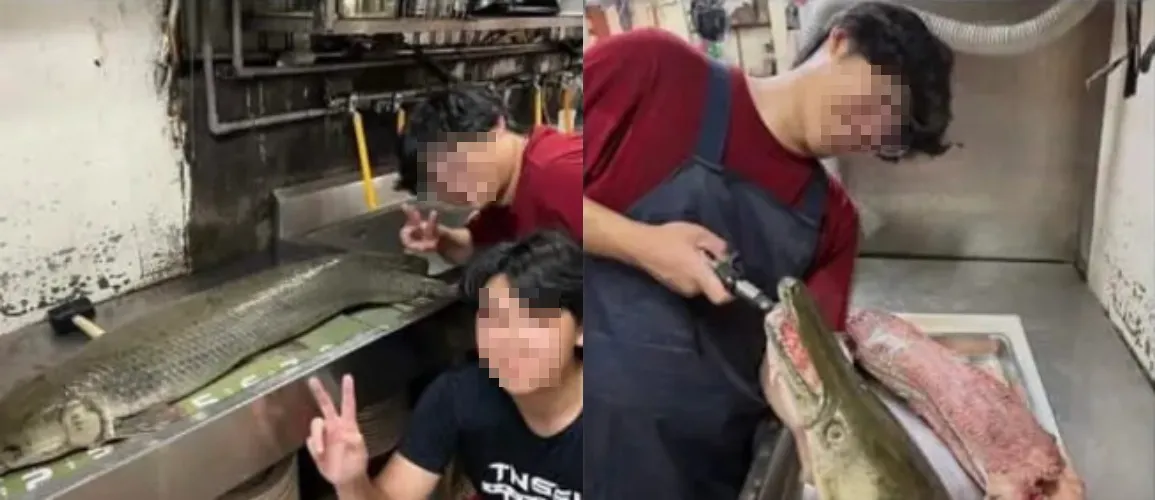 2名自稱是成大釣魚社的男子，釣走228公園的鱷雀鱔後料理食用。（圖／翻攝自Threads）