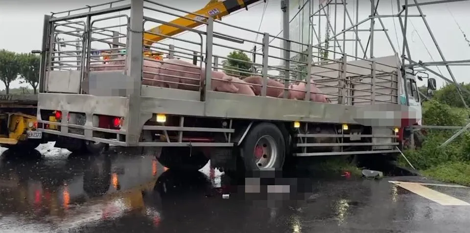 台南市六甲區林鳳營台1線路段發生死亡車禍。（圖／翻攝畫面）