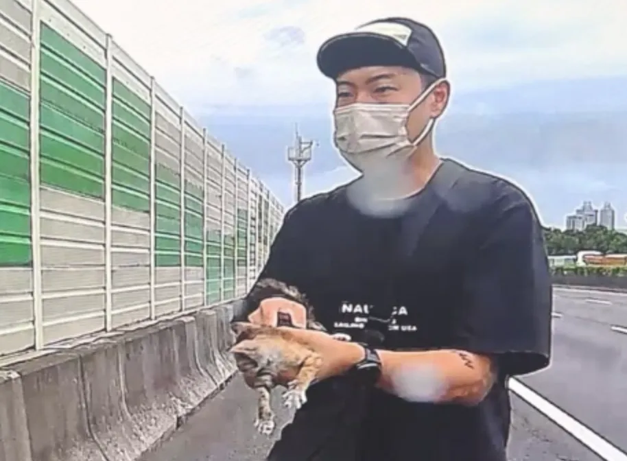 玖壹壹洋蔥國道暖救小奶貓。(圖/翻攝Instagram)