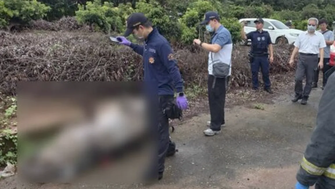 彰化驚見荔枝園女屍。（圖／翻攝畫面）