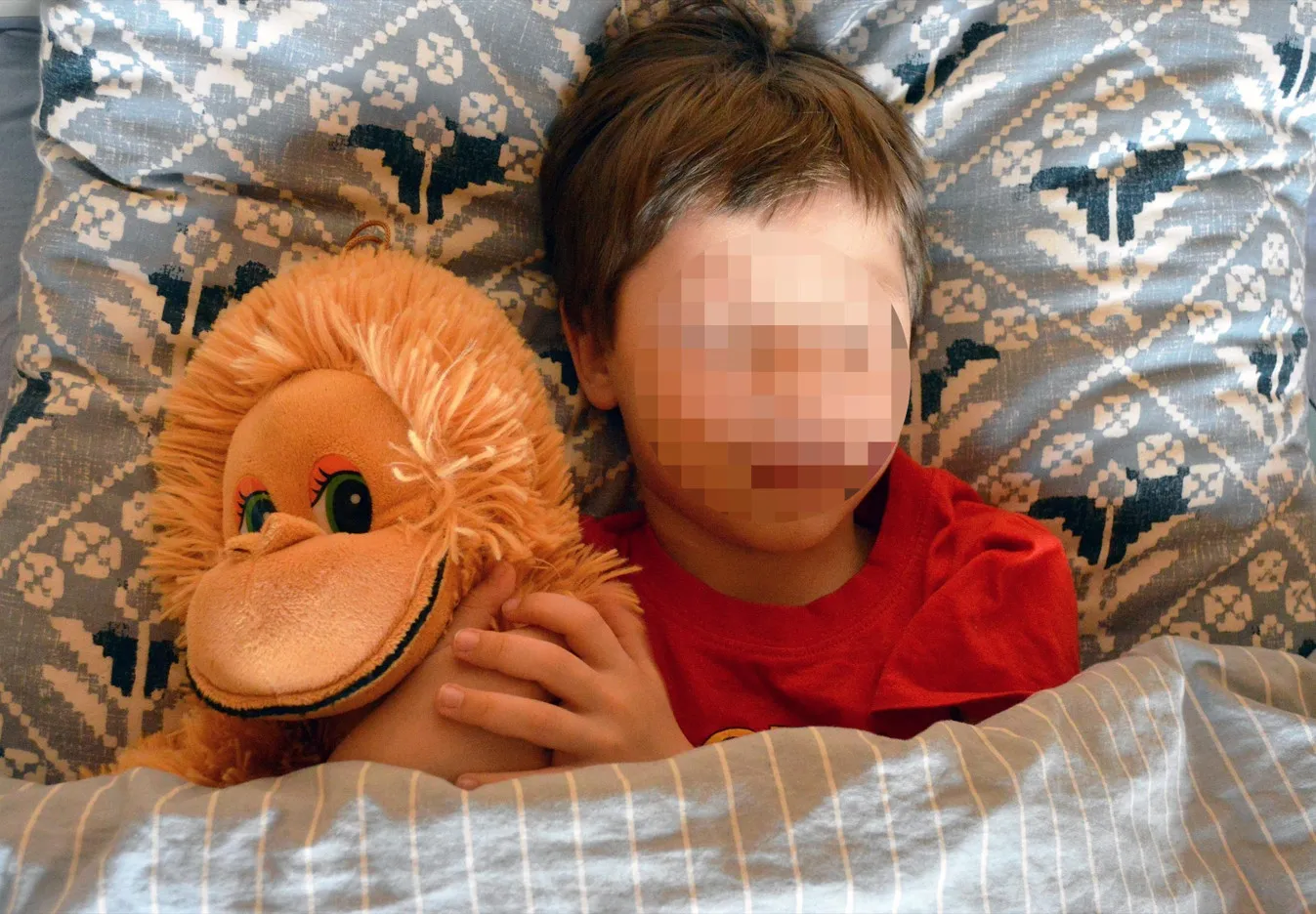 加拿大一名11歲男童因接觸蝙蝠，感染狂犬病身亡。（示意圖／翻攝自pixabay）