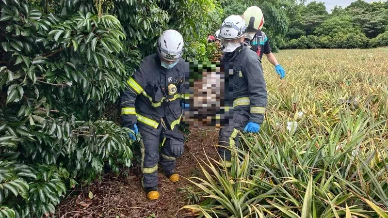 彰化芬園鄉一處荔枝園發現女屍。（圖／消防局提供）