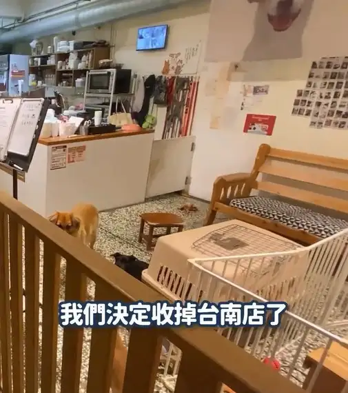 原因很現實。(圖/翻攝自浪浪別哭臉書)