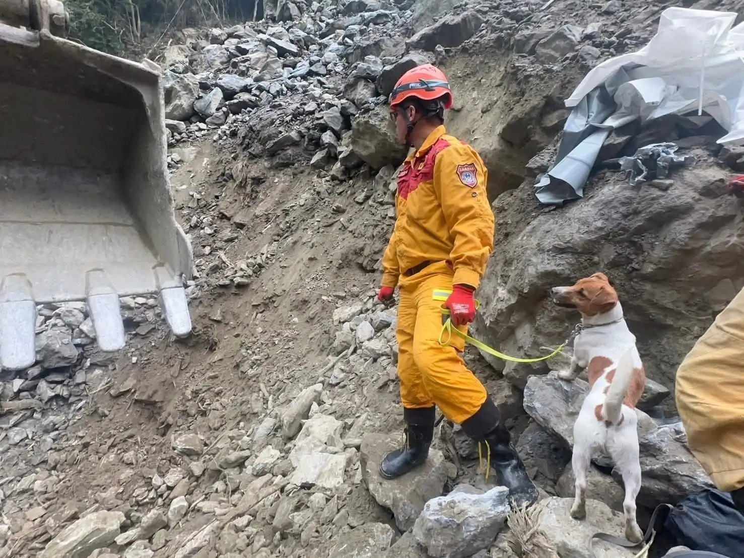 搜救犬Wilson驚傳被領犬員踹頭身亡。(圖/翻攝自花蓮縣消防局特種搜救大隊臉書)
