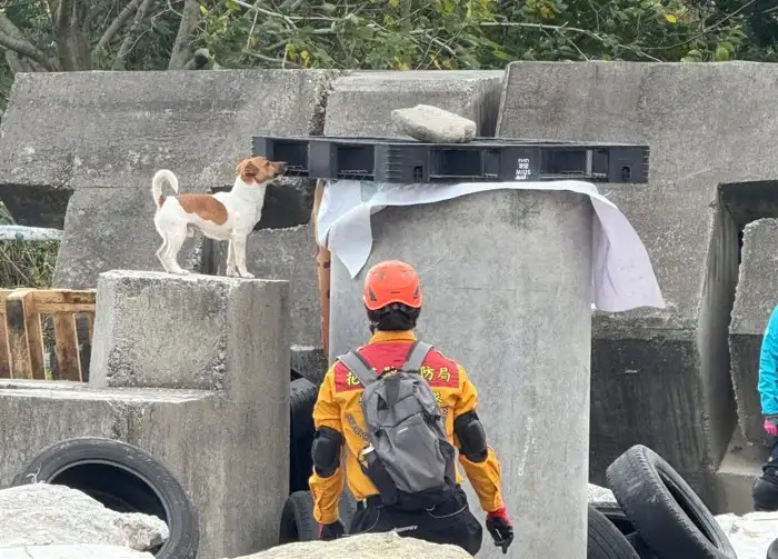 花蓮縣消防局搜救犬Wilson驚傳被虐待致死,而非意外墜樓。(圖/翻攝自花蓮縣消防局特種搜救大隊臉書)