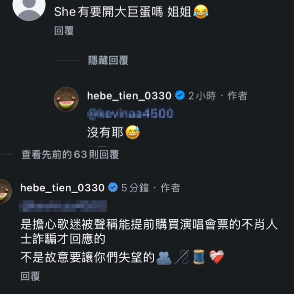田馥甄否認開唱,又心疼粉絲失望二度留言。(圖/翻攝田馥甄IG)