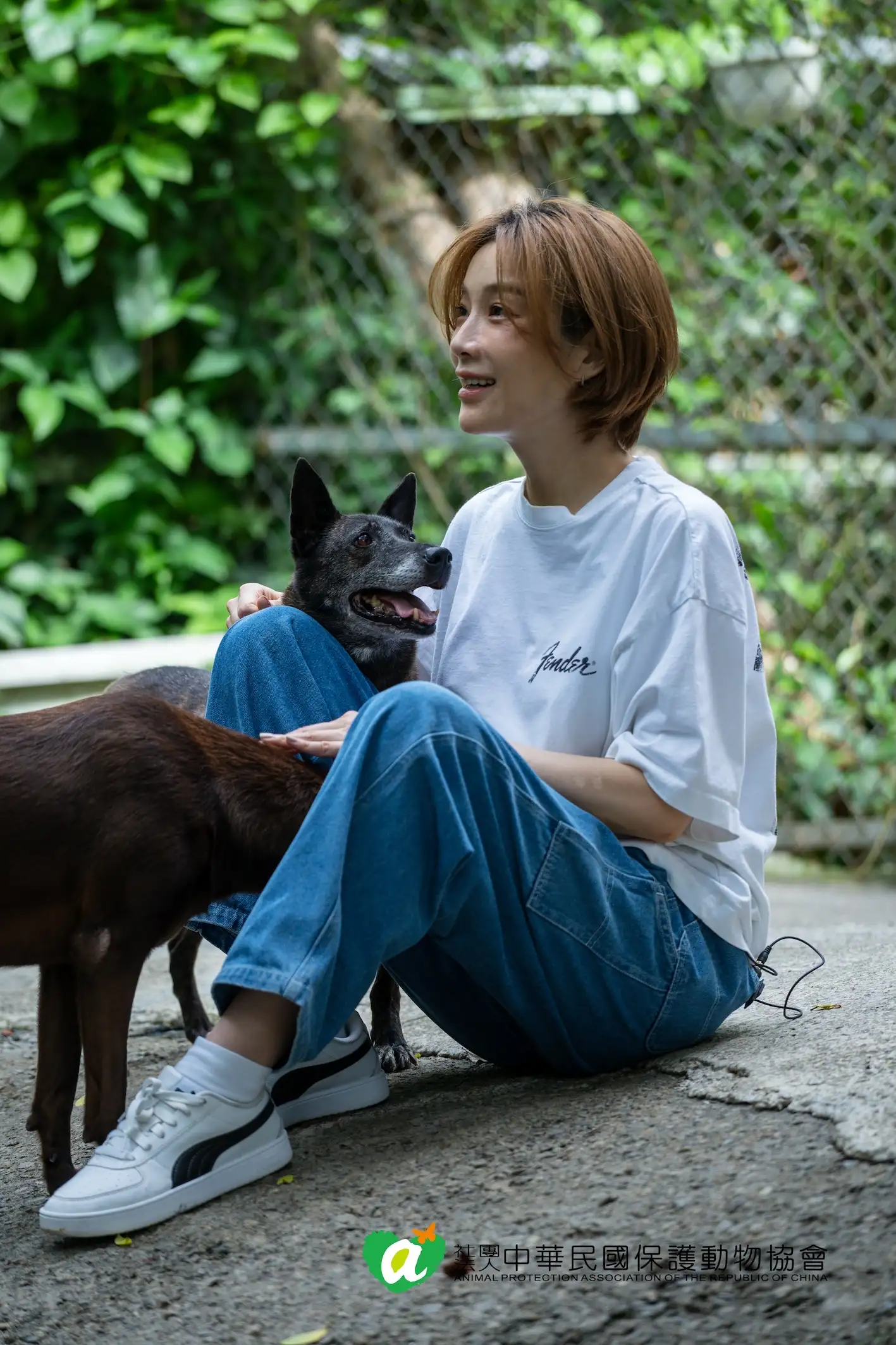 探訪過程中，看到園區內失明與患有關節炎的高齡犬，蔡淑臻深受觸動。（圖／貝殼放大提供）