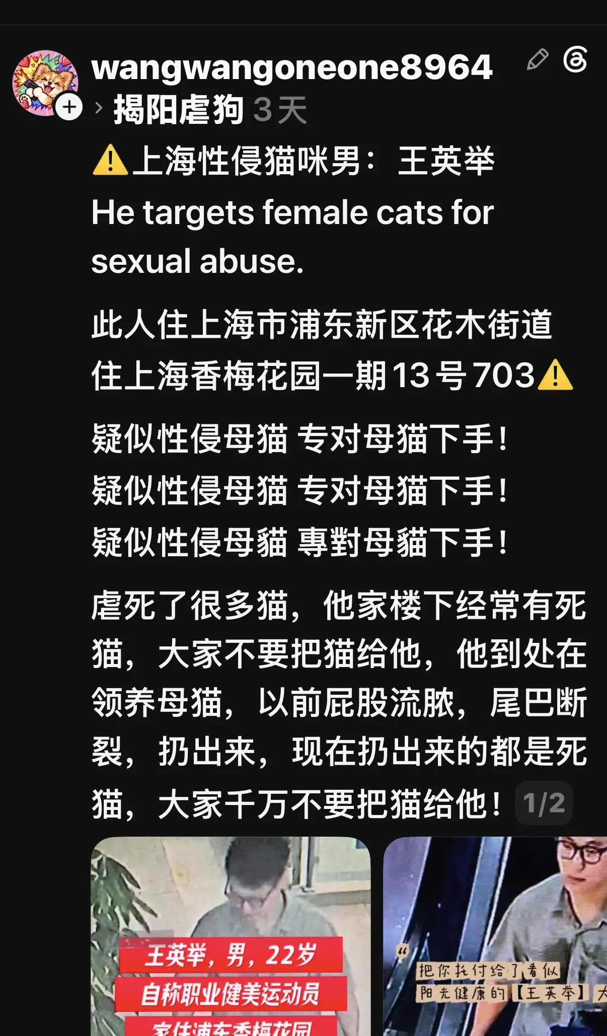 22歲男專挑母貓領養！遭爆「性侵貓」害尾巴斷裂流膿。（圖／翻攝Threads）