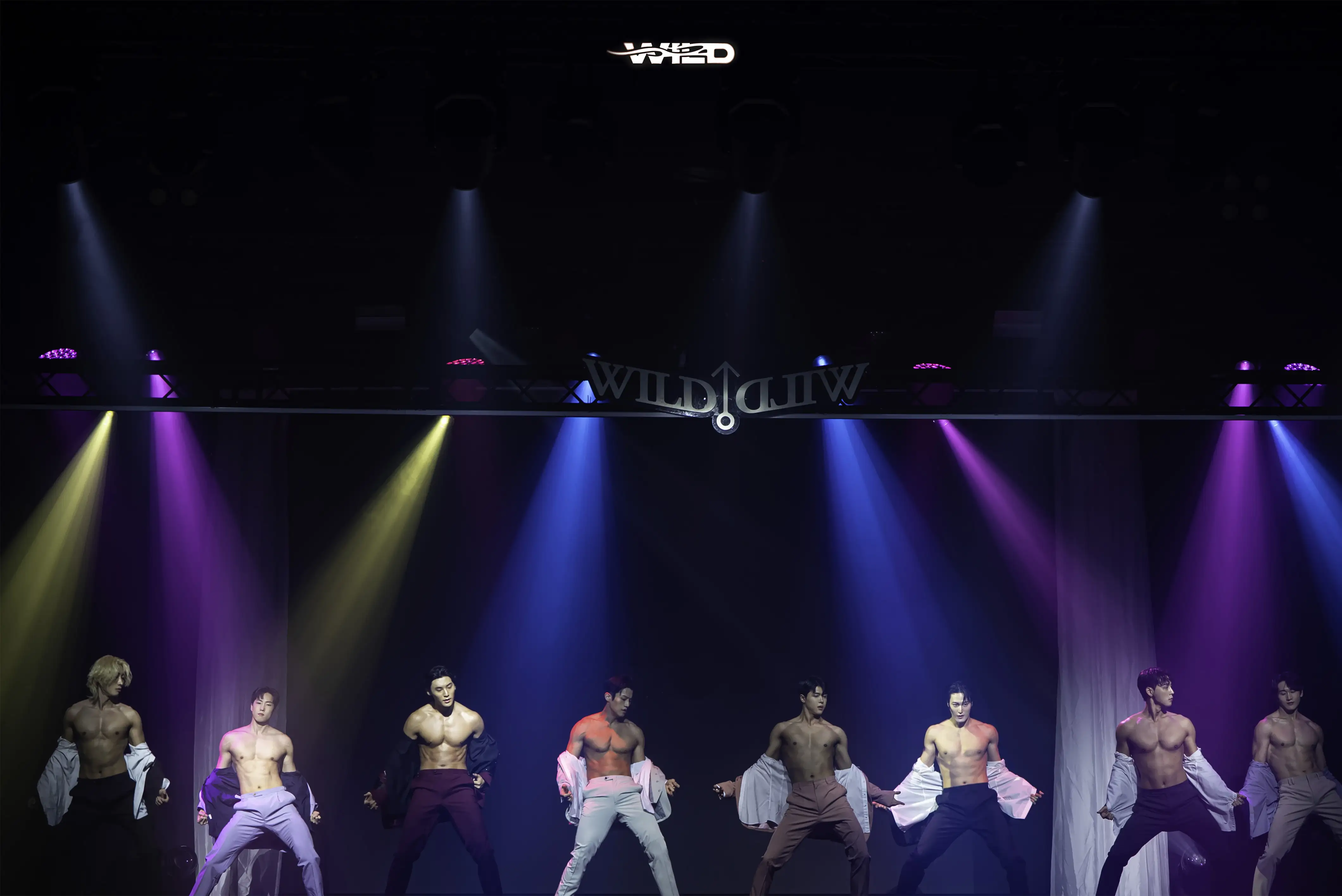 《WILD WILD》一大看點就是演員魅力。（圖／寬宏提供）