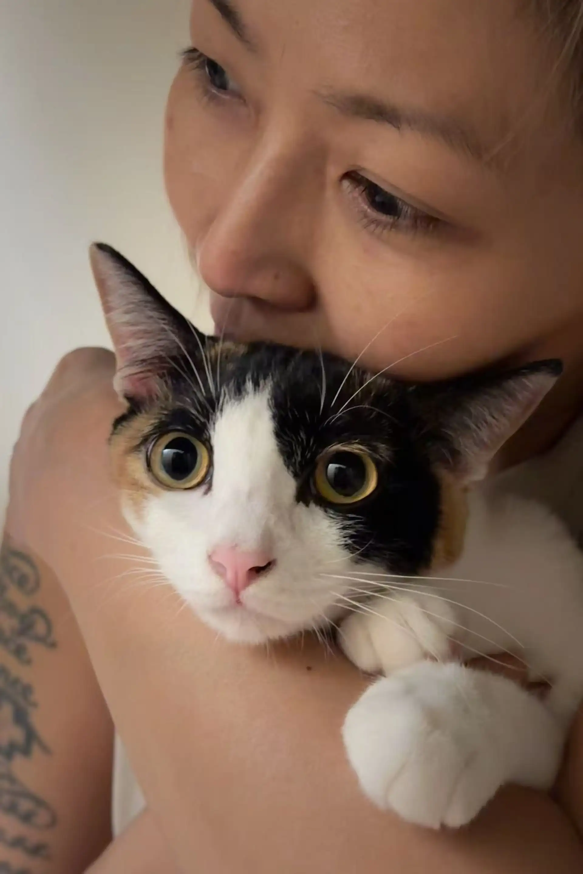 林曉培與愛貓凱特。（圖／杰思國際娛樂提供）